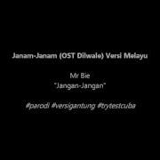 Janam Janam Ost Dilwale Or Jangan Jangan