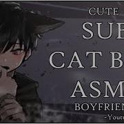 Azeru Asmr Catboy