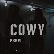 C O W Y Pxglv