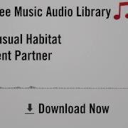 Unusual Habitat Silent Partner Youtube Royalty Free Music Download