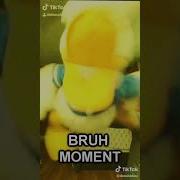Donakd Duck Tik Tok Bruh Moment