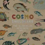 Cosmo Sheldrake Pliocene