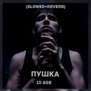 10Age Пушка Slowed