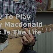 This Is Life Guitar