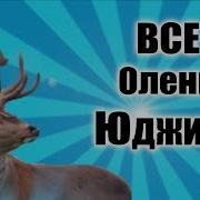 Все Олени Юджина