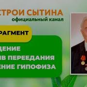 Красивые Ягодицы Настрои Сытина