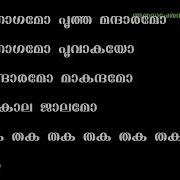 Minnaminungum Mayilkanniyum Karaoke With Lyrics My Dear Kuttichathan