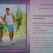 Презентация Продукции Beverlee Club