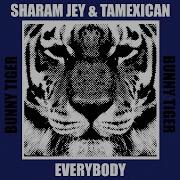 Everybody Extended Mix Sharam Jey Tamexican