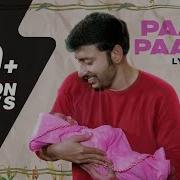 Papa Pattu