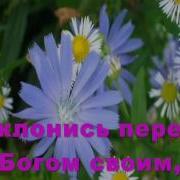 Славь Творца Огромная Страна Караоке