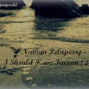 Nathan Pelupessy I Should Have Known Rnb 2012