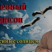 Слушать Шансон Константин Радаев Опаленные Солнцем Журавли