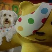 Pudsy