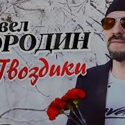 Бородин Гвоздики