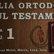 Biblia Ortodoxă Noul Testament Partea 1 2 Audiobook 2017