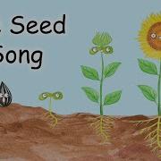 Seed Song