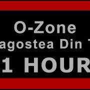 Ozone Fiesta 1 Hour