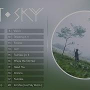 Lost Sky Top 20