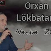 Orxan Lokbatanli Necibe Popuri 2019 Yeni