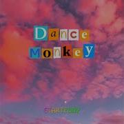 Dance Monkey Iphone Remix Starteddy