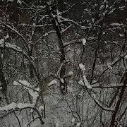 Поднятие Уровня Энергии Практика От Космического Монаха Миро Творец