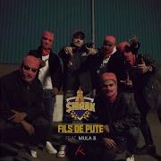 Fils De Pute Feat Mula B