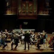 Amadeus Plays Concerto Opale By Richard Galliano