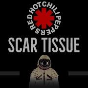 Red Hot Chili Peppers Scar Tissue Cc