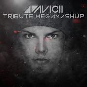 Avicii Tribute Megamashup Djs From Mars Mashup