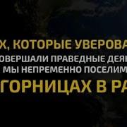 Абдуллах Хумейд Сура 29 Паук Красивое Чтение Корана