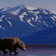 Epic Native American Music Grizzly Bear Ridge