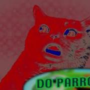 Numa Cat Effects Effects Effects