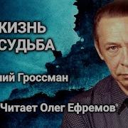 Василий Гроссман Жизнь И Судьба Аудиокнига