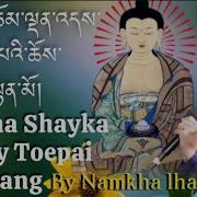 Buddha Shayka Money Toepa