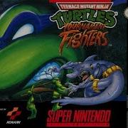 Review Tmnt Tournament Fighters Snes