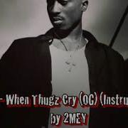 2Pac When Thugz Cry Og Instrumental By 2Mey