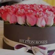 Unique Surpise With Billion Roses By Blanche