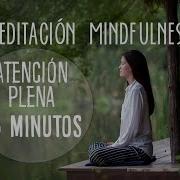 Mindfulness Relajación Meditacion Para Principiantes Atención Plena 15 Minutos Easy Zen