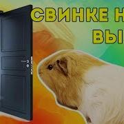 Хит От Svinkishow Песня Пародия Свинке Надо Выйти