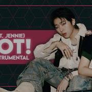 Spot Jennie Zico Instrumental