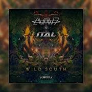 Wild South Avan7 Vs Ital