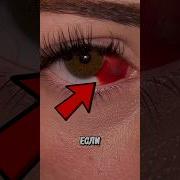 Боги Закрывают Лица Перед Инь И Янь