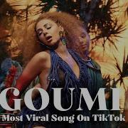 Myriam Fares Goumi