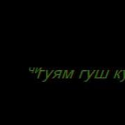 Дар Бораи Зино Бисёр Зебо