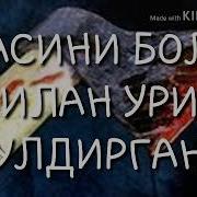 Шок Янгиликлар Уз Опасини Болта Билан Урди Каналга Кулаган Маст Одам Куткарилди