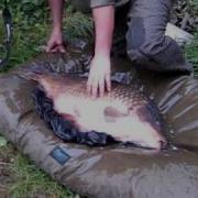 40Lb Common Part 2