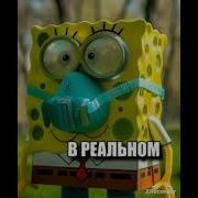 Губка Боб В Реальном Мире