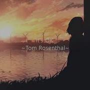 It S Ok Tom Rosenthal Tik Tok Version