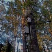 Мой Старый Сад Автор Сергей Мосин